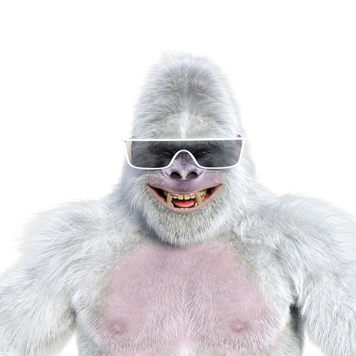 Vanilla Gorilla Graphics